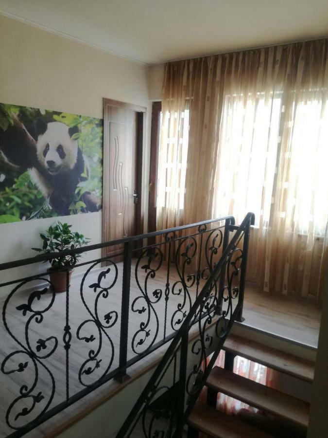 Happy Pandasn12 호텔 보르조미 외부 사진